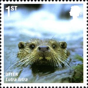Stamp, Eurasian Otter (Lutra lutra), United Kingdom of Great Britain & Northern Ireland,  , Mammals