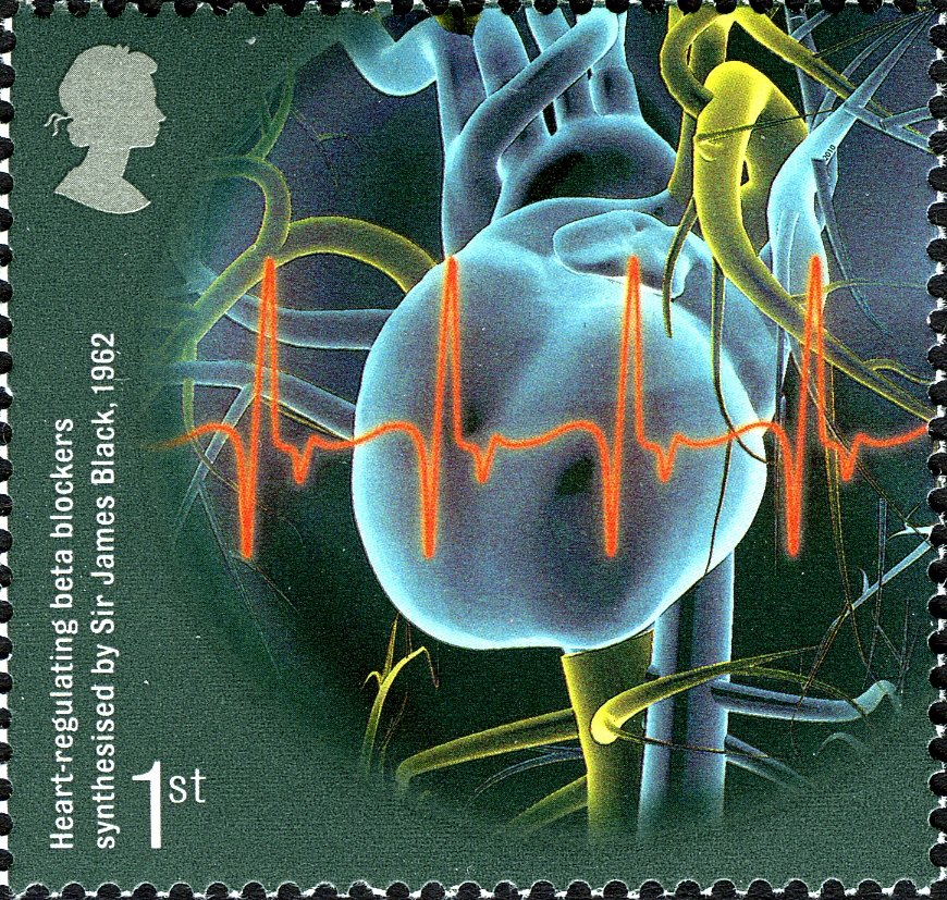 Heart-regulating Beta Blockers