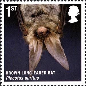 Stamp, Brown Long-eared Bat (Plecotus auritus), United Kingdom of Great Britain & Northern Ireland,  , Mammals, Bats, Animals (Fauna)