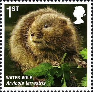 Stamp, European Water Vole (Arvicola terrestris), United Kingdom of Great Britain & Northern Ireland,  , Mammals, Animals (Fauna)