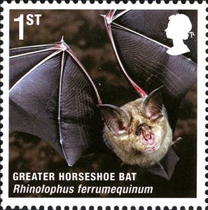 Stamp, Greater Horseshoe Bat (Rhinolophus ferrumequinum), United Kingdom of Great Britain & Northern Ireland,  , Mammals, Bats, Animals (Fauna)