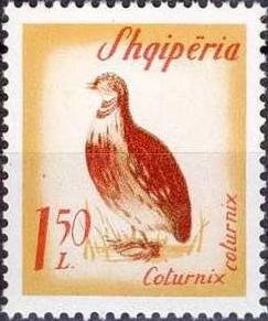 Stamp, Common Quail (Coturnix coturnix), Albania,  , Birds, Animals (Fauna)