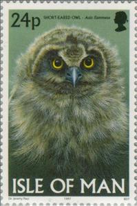 Stamp, Short-eared Owl (Asio flammeus), Isle of Man,  , Birds, Birds of Prey, Owls, Animals (Fauna)