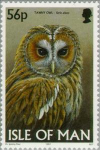 Stamp, Tawny Owl (Strix aluco), Isle of Man,  , Birds, Birds of Prey, Owls, Animals (Fauna)