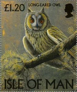 Stamp, Long-eared Owl (Asio otus), Isle of Man,  , Birds, Birds of Prey, Owls, Animals (Fauna)