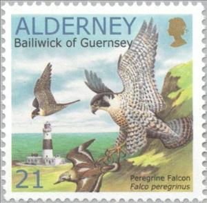 Stamp, Peregrine Falcon (Falco peregrinus), Ruddy Turnstone (Arenar, Alderney,  , Lighthouses, Birds, Mammals, WWF, Birds of Prey, Animals (Fauna), Falcons