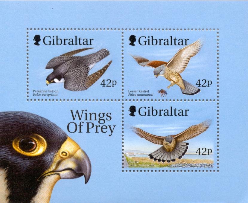 Wings of Prey