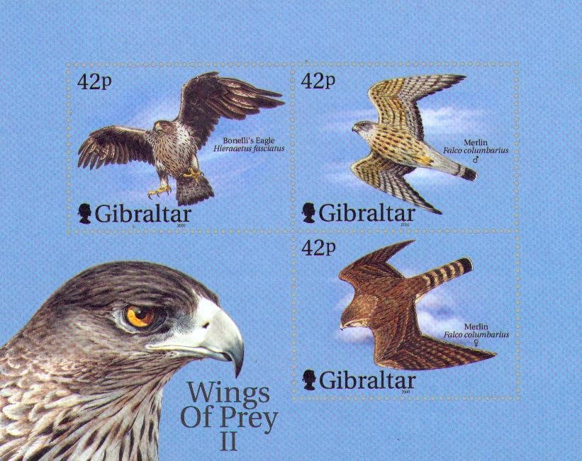 Wings of Prey II