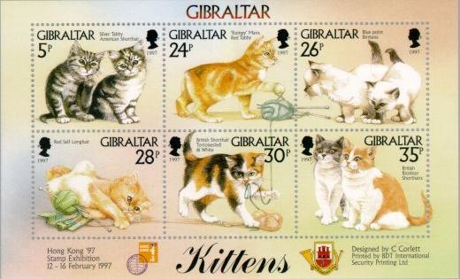 Kittens