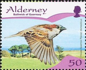 Stamp, House Sparrow (Passer domesticus), Alderney,  , Birds