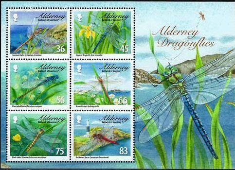 Dragonflies 