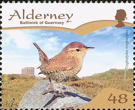 Wren (Troglodytes troglodytes)