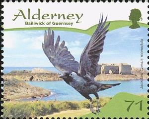 Stamp, Jackdaw (Corvus monedula) , Alderney,  , Birds