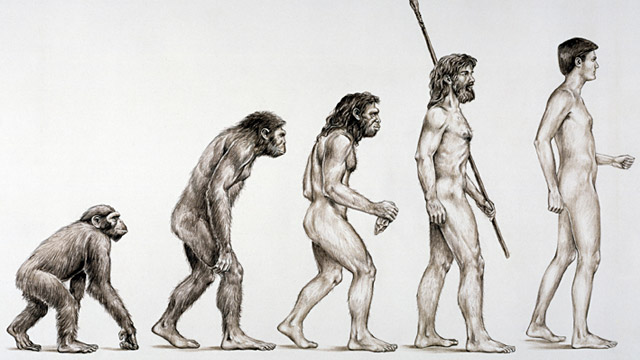 Anthropology