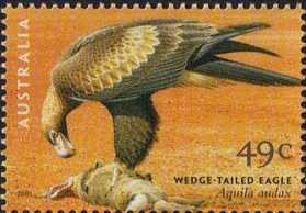 Stamp, Wedge-tailed Eagle (Aquila audax), Australia,  , Birds, Birds of Prey, Animals (Fauna)