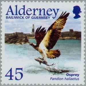 Stamp, Osprey (Pandion haliaetus), Alderney,  , Birds, Birds of Prey, Animals (Fauna)