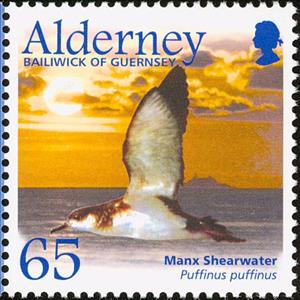 Stamp, Manx Shearwater (Puffinus puffinus), Alderney,  , Birds