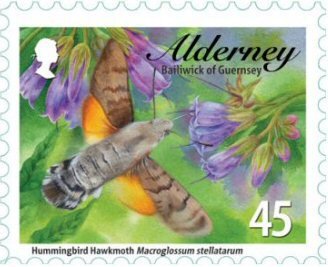 Hummingbird Hawkmoth (Macroglossum stellatarum) 