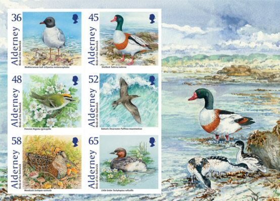 Water Birds