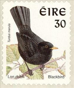 Stamp, Common Blackbird (Turdus merula), Ireland,  , Birds, Animals (Fauna)