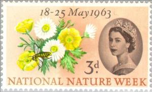 Stamp, Buttercup, Common Daisy, Honey Bee (Apis sp.), United Kingdom of Great Britain & Northern Ireland,  , Special Occasions, Flowers, Environment Protection, Plants (Flora)