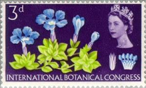 Stamp, Spring Gentian, United Kingdom of Great Britain & Northern Ireland,  , Special Occasions, Flowers, Plants (Flora)
