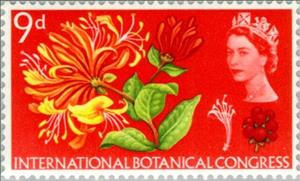 Stamp, Honeysuckle, United Kingdom of Great Britain & Northern Ireland,  , Special Occasions, Flowers, Plants (Flora)