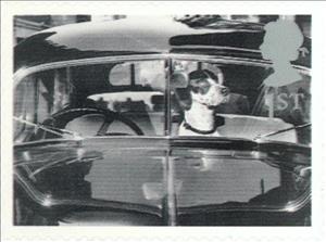 Stamp, Dog in Car, United Kingdom of Great Britain & Northern Ireland,  , Mammals, Cars, Dogs, Animals (Fauna)