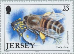 Stamp, European Honey Bee (Apis mellifera), Jersey,  , Insects, Bees, Animals (Fauna)