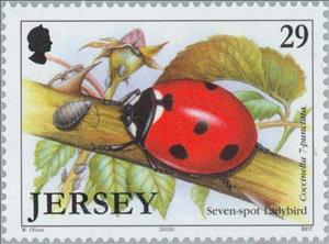 Stamp, Seven-Spot Ladybird (Coccinella septempunctata), Jersey,  , Insects, Beetles, Animals (Fauna)
