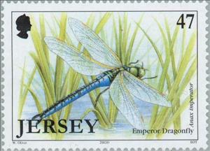 Stamp, Emperor Dragonfly (Anax imperator), Jersey,  , Insects, Animals (Fauna)