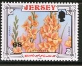 Gladioli