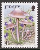 Inocybe