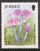 Stamp, Calyptriformus, Jersey,  , Mushrooms