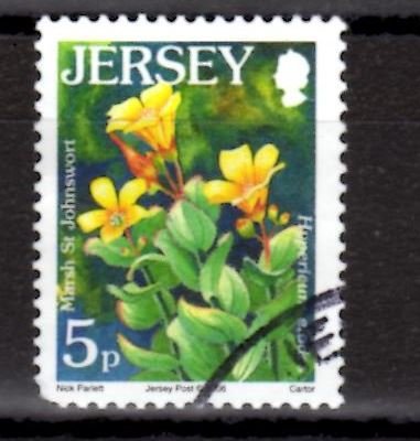 Johnswort - Hypericum elodes 