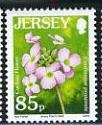 Cuckoo Flower - Cardamine pratensis 