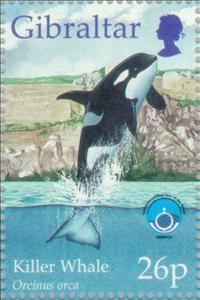 Stamp, Killer Whale (Orcinus orca), Gibraltar,  , Mammals, Sea (Marine) Mammals, Whales, Animals (Fauna)