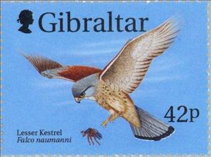 Stamp, Lesser Kestrel (Falco naumanni), Gibraltar,  , Birds, Birds of Prey, Falcons