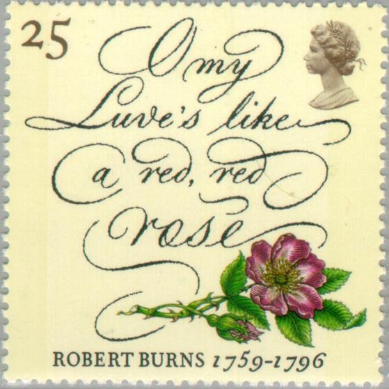 "O my Luve's like a red, red rose" and Wild Rose