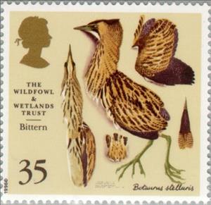 Stamp, Eurasian Bittern (Botaurus stellaris), United Kingdom of Great Britain & Northern Ireland,  , Birds, Environment Protection, Animals (Fauna), Anniversaries and Jubilees