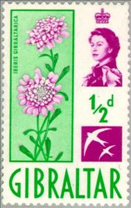 Stamp, Iberis gibraltarica, Gibraltar,  , Flowers, Stylized Animals, Queens, Plants (Flora)
