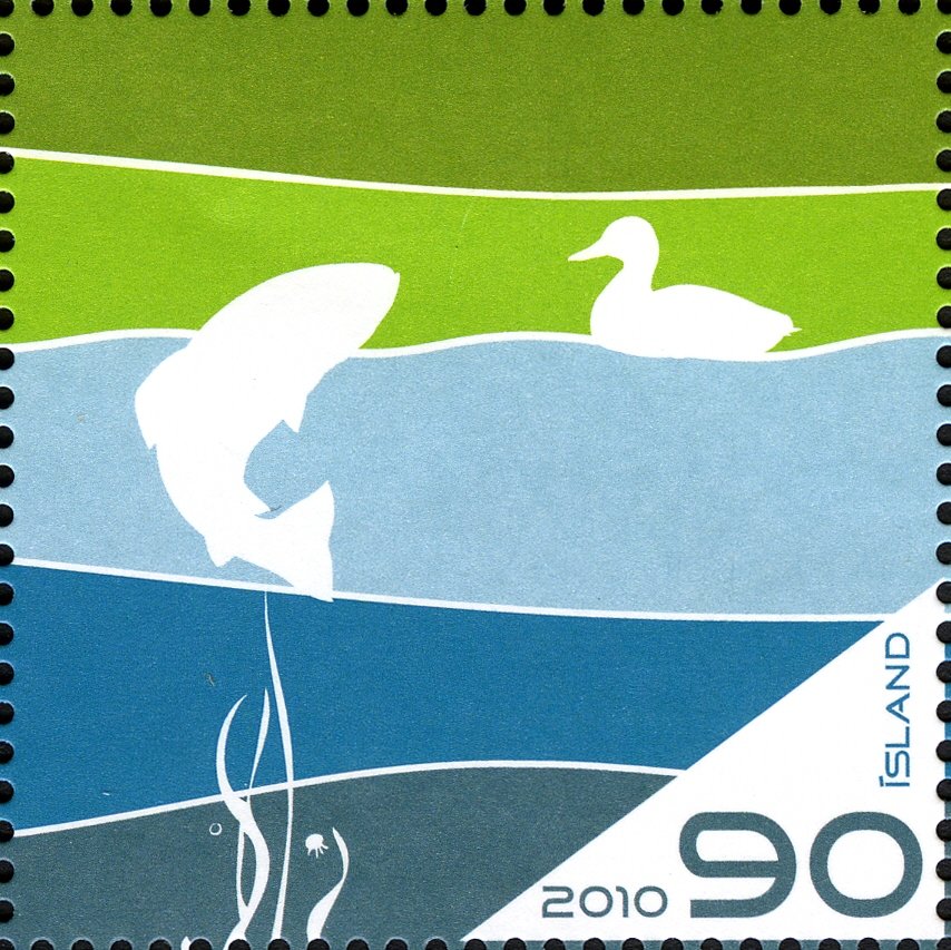 Fish, duck