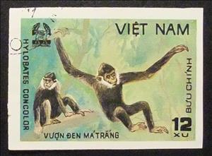 Stamp, Black Crested Gibbon (Hylobates concolor), Vietnam,  , Mammals, Monkeys, Animals (Fauna)