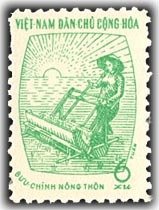Rice Planting