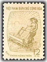Rice Planting