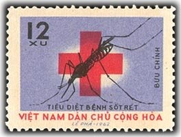 Anopheles Mosquito (Anopheles sp.)
