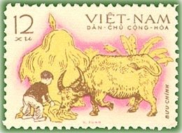 Feeding Domesticated Water Buffalo (Bos bubalus domesticus)