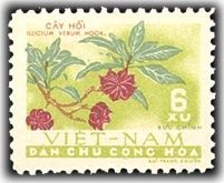 Illicium verum