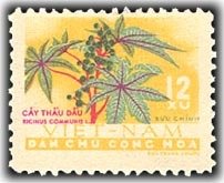 Stamp, Ricinus communis, Vietnam,  , Fruits, Plants (Flora)