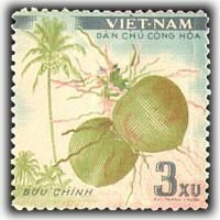Coconuts